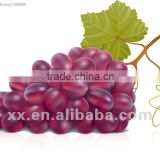 xinjiang fresh red grape
