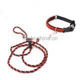 Braid Rope Dog Leash and Collar, Paracord Dog Leash thumbnail-3