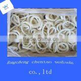 Wholesaler Frozen Squid Ring