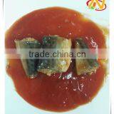 155g Canned Jack Mackerel in Tomato Sauce