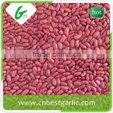 Small Red Kidney Beans Nutrition Facts thumbnail-2