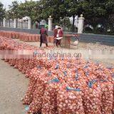 2016 New Crop Factory Supplier Normal White And Pure White Garlic for Indonesia, Malaysia, Thailand From China Factory thumbnail-4