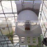 Selling Automatic Pigeon Water Feeder thumbnail-1