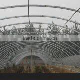 Multi Span Mushroom Greenhouse for Agriculture thumbnail-2