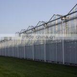Commercial Large Glass Greenhouse For Agricultural Planting thumbnail-2