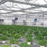 Greenhouse Beach System for Flowers thumbnail-2