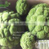 SJLJ01259 Hot Selling Artificial Moss Ball thumbnail-1