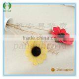 2016 Cheap Various Glass Reed Diffuser Bottles