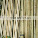 Different Sizes Tonkin Bamboo Stakes/poles/canes for Agriculture thumbnail-5