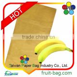 fruit paper growing protective cover bag for banana manufacturer