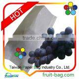 TPBI Taiwan Factory Agriculture White Grape Bag Growing Coating Paper Bag thumbnail-1