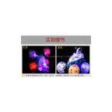 Toys 034: Tilting Cart for Child Super Remote Control Car thumbnail-3