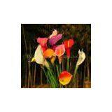 Artificial Flowers PU Calla Lily thumbnail-2