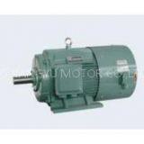 YVP Series Three-phase Frequency Controlled Asynchronous Motor thumbnail-1