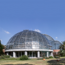 LF Steel Glass Dome Structure Hall Building Frame Church Roof Design thumbnail-2