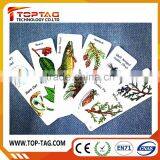 Iregular Shape Playing Cards , Special Shaped Poker