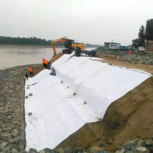 Factory Price Free Sample Filament Reinforced PET PP Geo Textiles Geotextile Fabric thumbnail-5