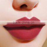 Customize Private Label Herby Lipstick Wholesale Matte Lipstick Brands Label Cosmetics Lipstick thumbnail-3