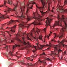 Organic Dried Fruit Goji Berry thumbnail-1