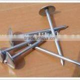 Roofing Nail With Smooth Shank