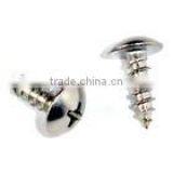 Truss Head Self Tapping Screw in Best Selling thumbnail-1