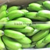 Fresh Cavendish banana new crop 2015- 13kg