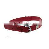 Janyo Custom Popular Dog Collars And Leashes ,High Quality Collar For Dog