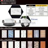 200x300MM WT0208 Ceramic Wall Tile thumbnail-2