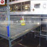 Henan Silver Star Factory Supply h Type Chicken Cage for Poultry Broiler Chicken