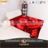 Factory Sale Blanket Ans Raschel Blanket for Travel.