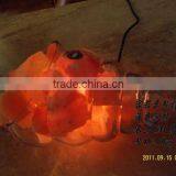 Natural Salt Lamps thumbnail-1