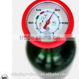 Wine Thermometer_T815A