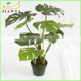 Making Wholesale Artificial Bonsai Trees