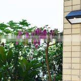 IP65 Super Bright Solar Motion Sensor Light Solar Wall Lights Solar Fence Lights thumbnail-5