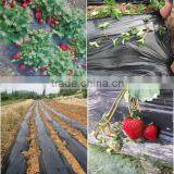 Cheap Garden PE Protective Mulch Film thumbnail-1