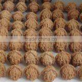 Fresh Dried Sweet Walnut Package at Your Need