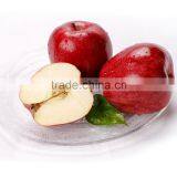 2016 New Crop New Season Huaniu Apple Fresh Apple China Gansu Tianshui Huaniu Apple thumbnail-1
