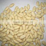 blanched peanut kernels