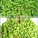 Industrial Automatic Broad Bean Peeling Machine thumbnail-6
