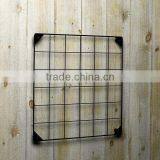 Plastic Hanging Flower Grow Pot thumbnail-2