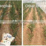 Bio Liquid Fertilizer For Soil Rebuilding thumbnail-5