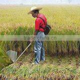 Gasoline Engine Usage Farm Machine Cultivator Weeder,Agriculture Paddy Weeder thumbnail-6