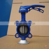 Cast Iron Wafer Lugged Butterfly Valve,Cast Iron Check Valve thumbnail-5