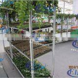 334 Glasshouse Trolley thumbnail-3