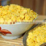 Manufacture Corn Flakes Production Machine Line thumbnail-6