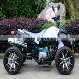 JLA-11A-09--110cc-air Cooled Max Power 5.5kw/8000 Different Clor Racing Atv Quad High Quality Cheap Price Hot Sale thumbnail-4