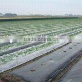 Plastic Plant:Agricultural Film Machinery thumbnail-1