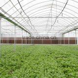 Industrial Size Hot Sale Commercial Glass Greenhouse for Vegetables thumbnail-2