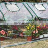 Greenhouse thumbnail-1