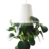 CT-457 Magic Sky Planter Plastic Flower Pot 18x18x25cm thumbnail-5